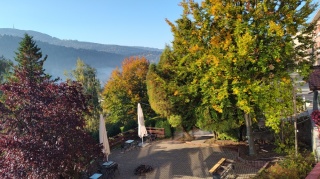 IMG_20231018_090244782